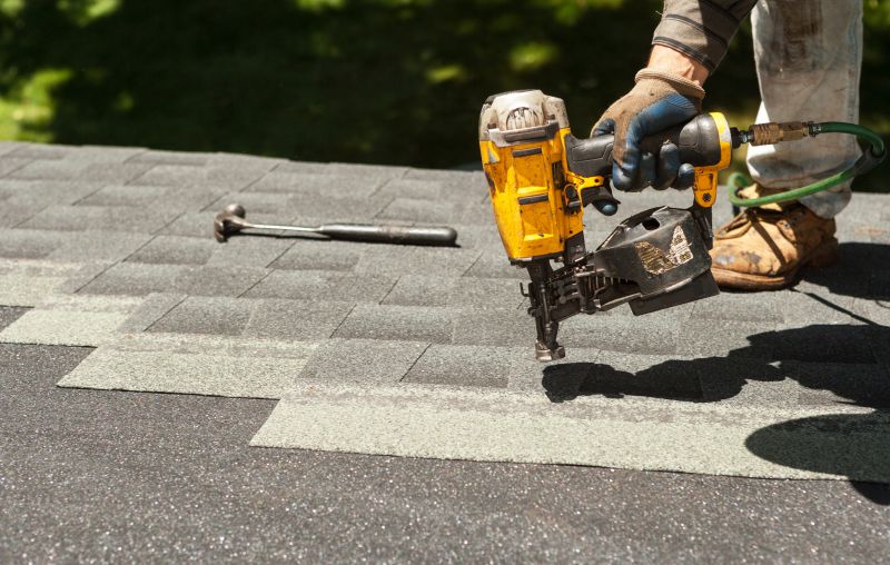 Handyman Services with Roofing Experience